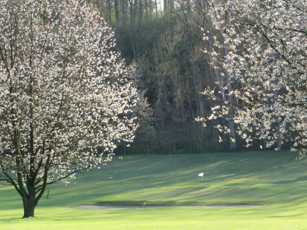 Golf & Hotel De Falnuee Mazy Kültér fotó